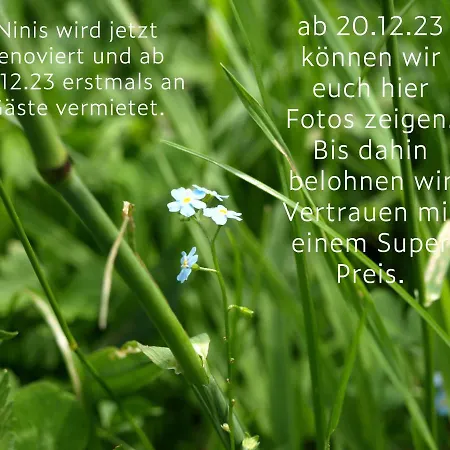 Ninis - Im Bregenzerwald *